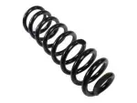 2013-2019 Ford Escape - Coil Spring