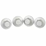 Lower Hinge Mount Bolt