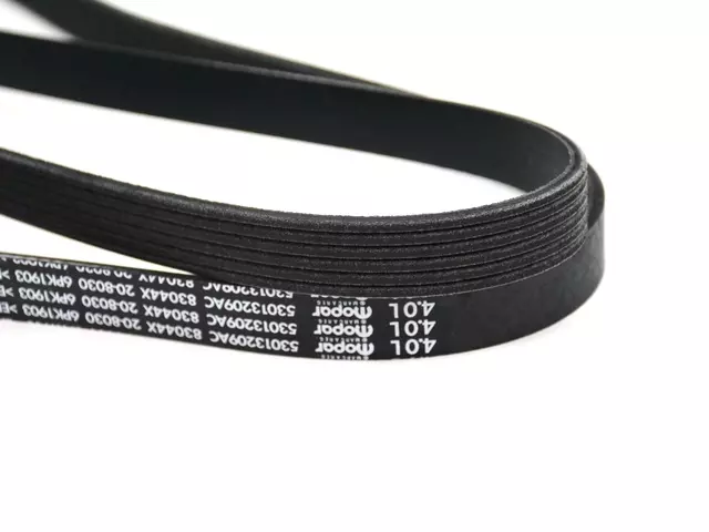 Accessory Drive Belt