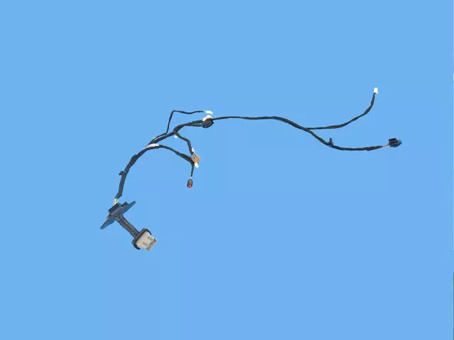 Rear Door Wiring, Right & Left, Rear