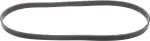 Alternator Belt