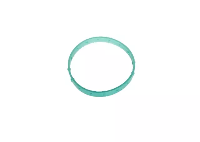 Fuel Injection Throttle Body Seal
