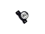 Fog Lamp Assembly
