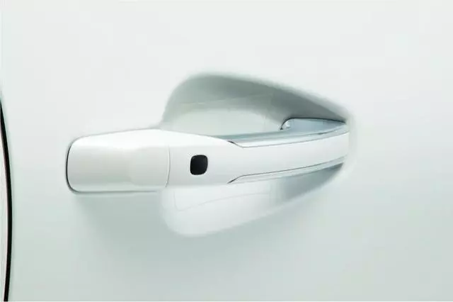 Door Handle Pocket Protector, Clear Appliqu?