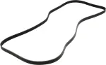 Serpentine Belt