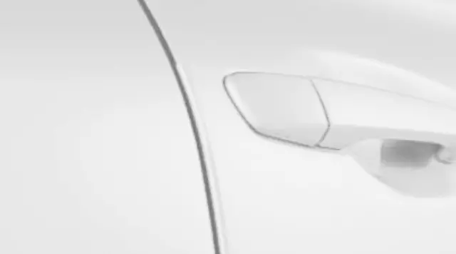 2011-2020 Lexus GX460 - Door Edge Guards, Starfire Pearl