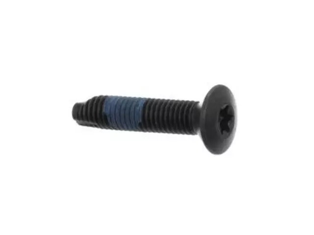 Striker Screw
