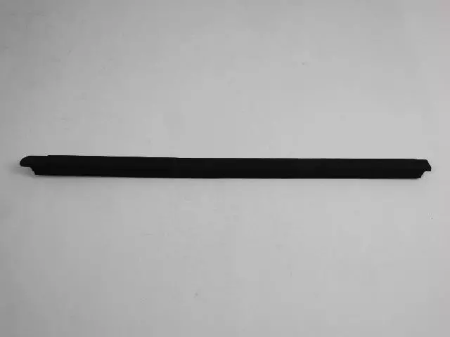 Front Door Belt Outer Weatherstrip, Left
