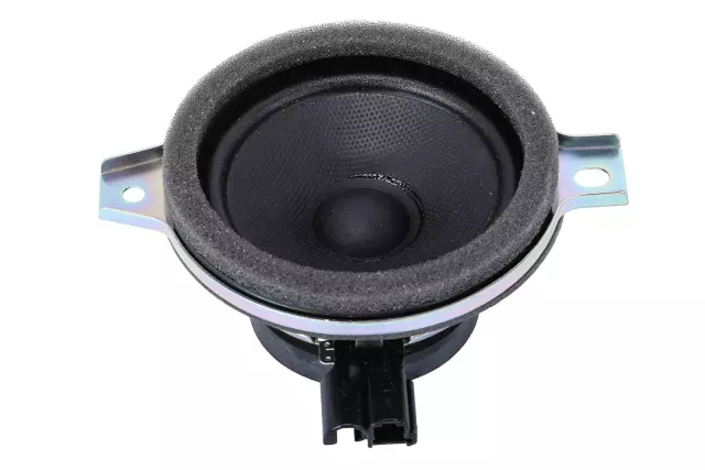 Front Center Radio Speaker