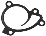 Water Pump Gasket