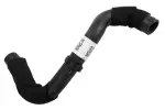 Radiator Outlet Hose