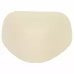 Seat Belt Anchor Plate Cover