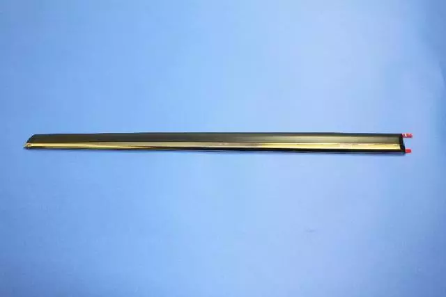 Rear Door Molding, Left