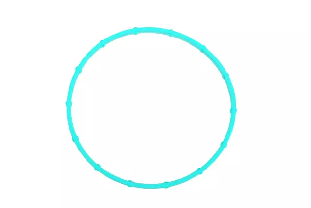 Camshaft Position Actuator Magnet Gasket