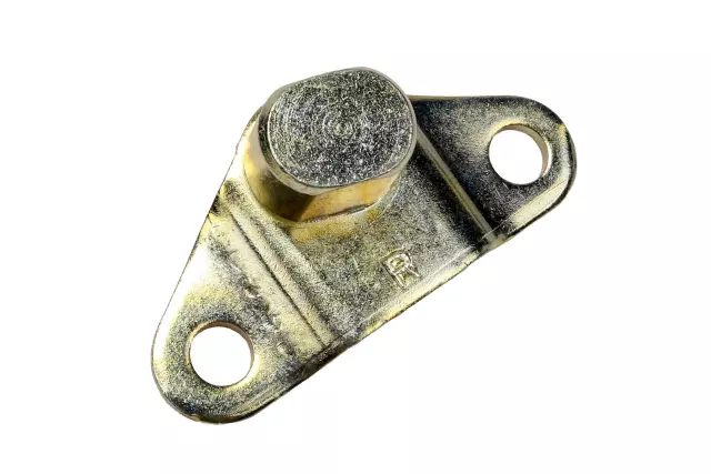 Hinge Asm-Pubx E/Gate (Pubx Si)