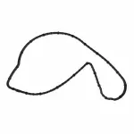 Engine Water Pump Housing Gasket