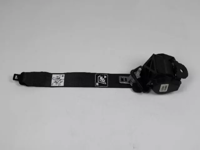 Rear Center Shoulder Seat Belt
