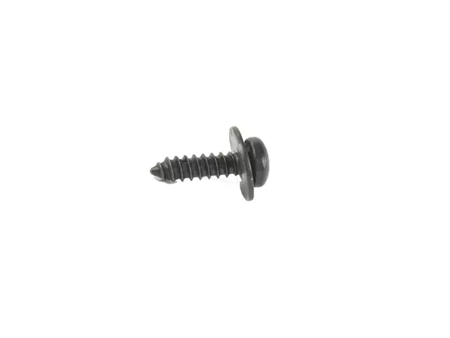 Pan Head Tapping Screw, Front Door, Right