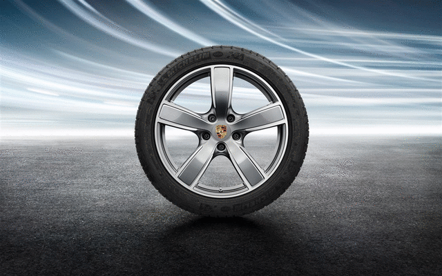 20-Inch Cayenne Sport Classic Winter