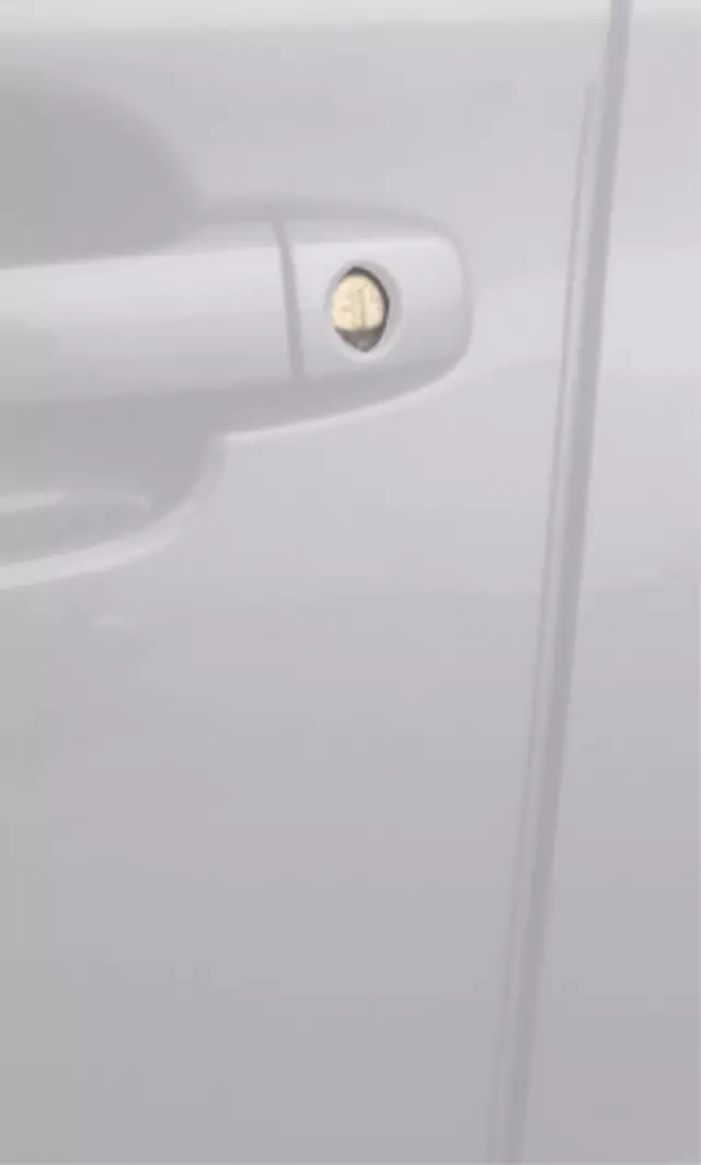 Door Edge Guards