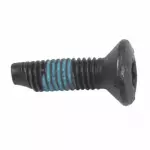 2007-2019 Ford Striker Screw
