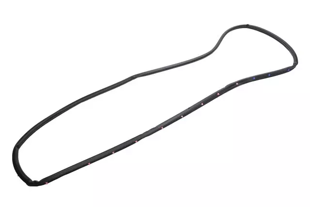 Front Passenger Side Door Weatherstrip