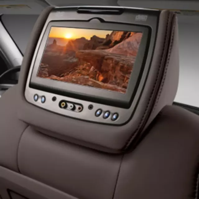 Headrest and Video Screen Assembly