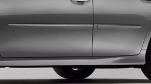 Body Side Moldings - Atomic Silver