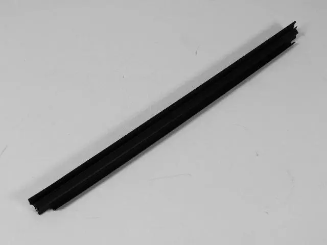 Rear Door Belt Inner Weatherstrip, Right Or Left