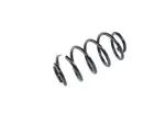 Rear Coil Spring, Right Rear