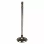 Exhaust Valve