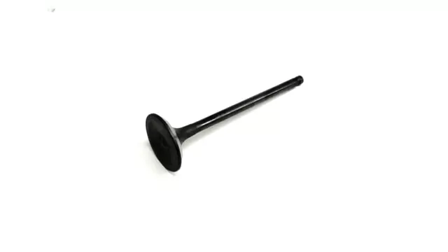 Exhaust Valve