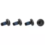 Center Seat Belt Bolt