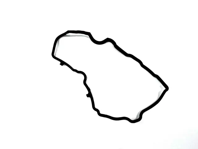 VALVE COVER GASKET, DRIVER SIDE