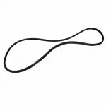 Weather-Strip On Body