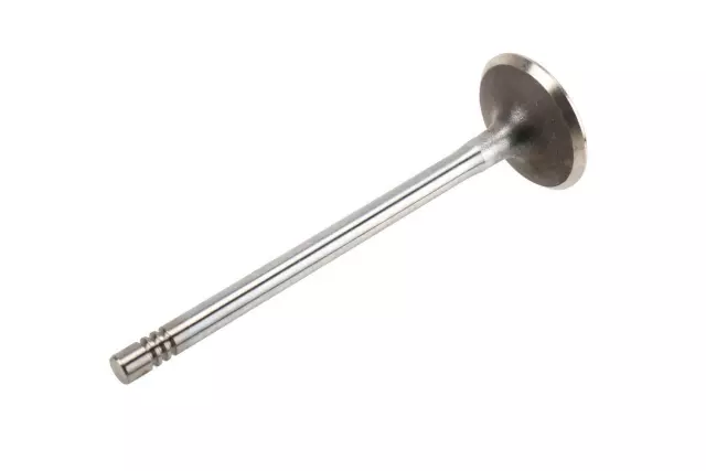 Exhaust Valve