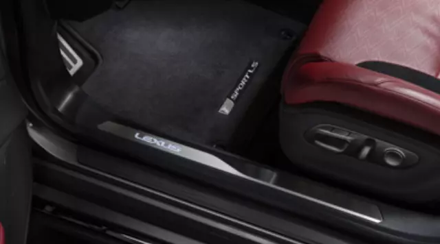 Illuminated Door Sills - Noble Brown