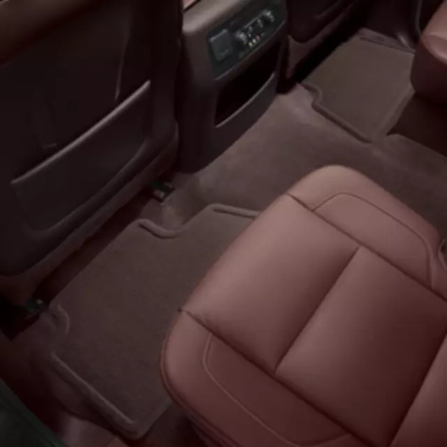 Floor Mats, Carpet, Rear - GM (84350202)