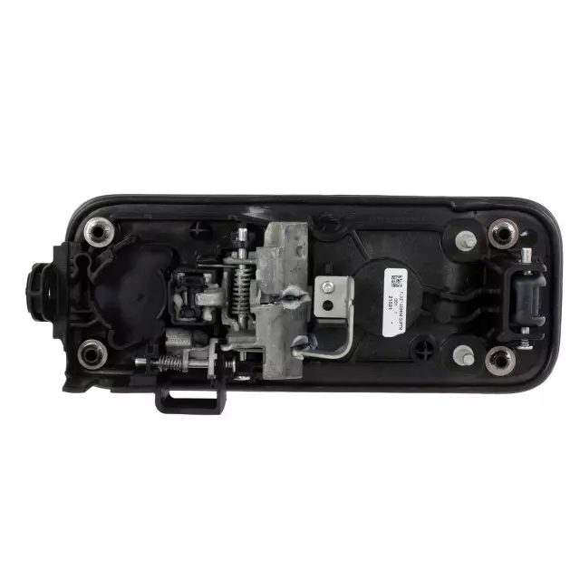 2015-2020 Ford F-150 Handle, Outside FL3Z-1522404-DJPTM