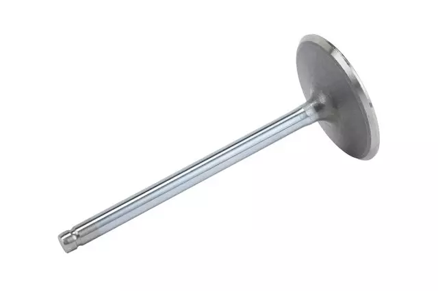 LSA Intake Valve