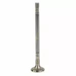 Engine Exhaust Valve