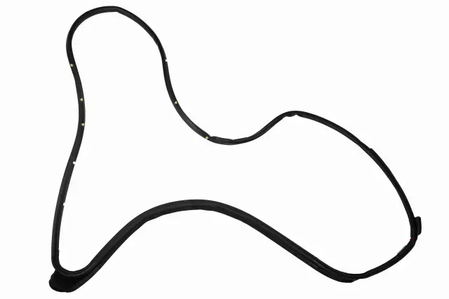 Passenger Side Front Door Weatherstrip