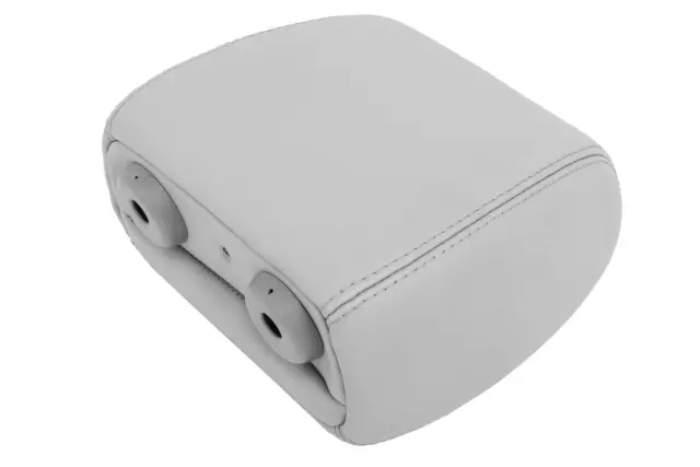 Light Titanium Rear Seat Head Restraint