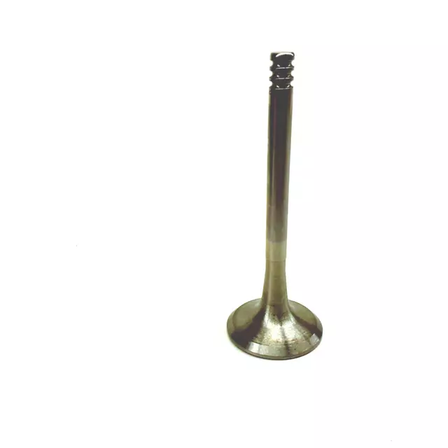 Exhaust Valve