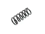Front Coil Spring, Right