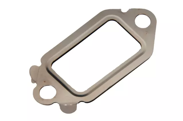 Exhaust Gas Recirculation (EGR) Valve Gasket