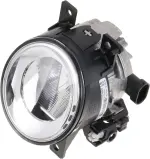 Fog Lamp Assembly