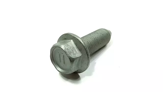 Trailing Arm Bolt