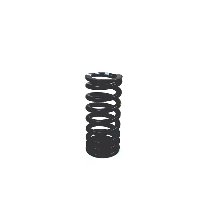 Valve Springs