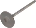 Intake Valve